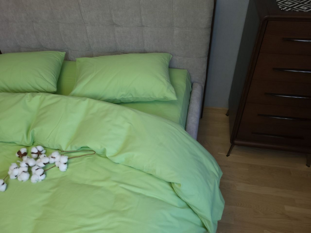 Постільна білизна Салатовий S130, Turkish flannel нав 50*70см (Євро)