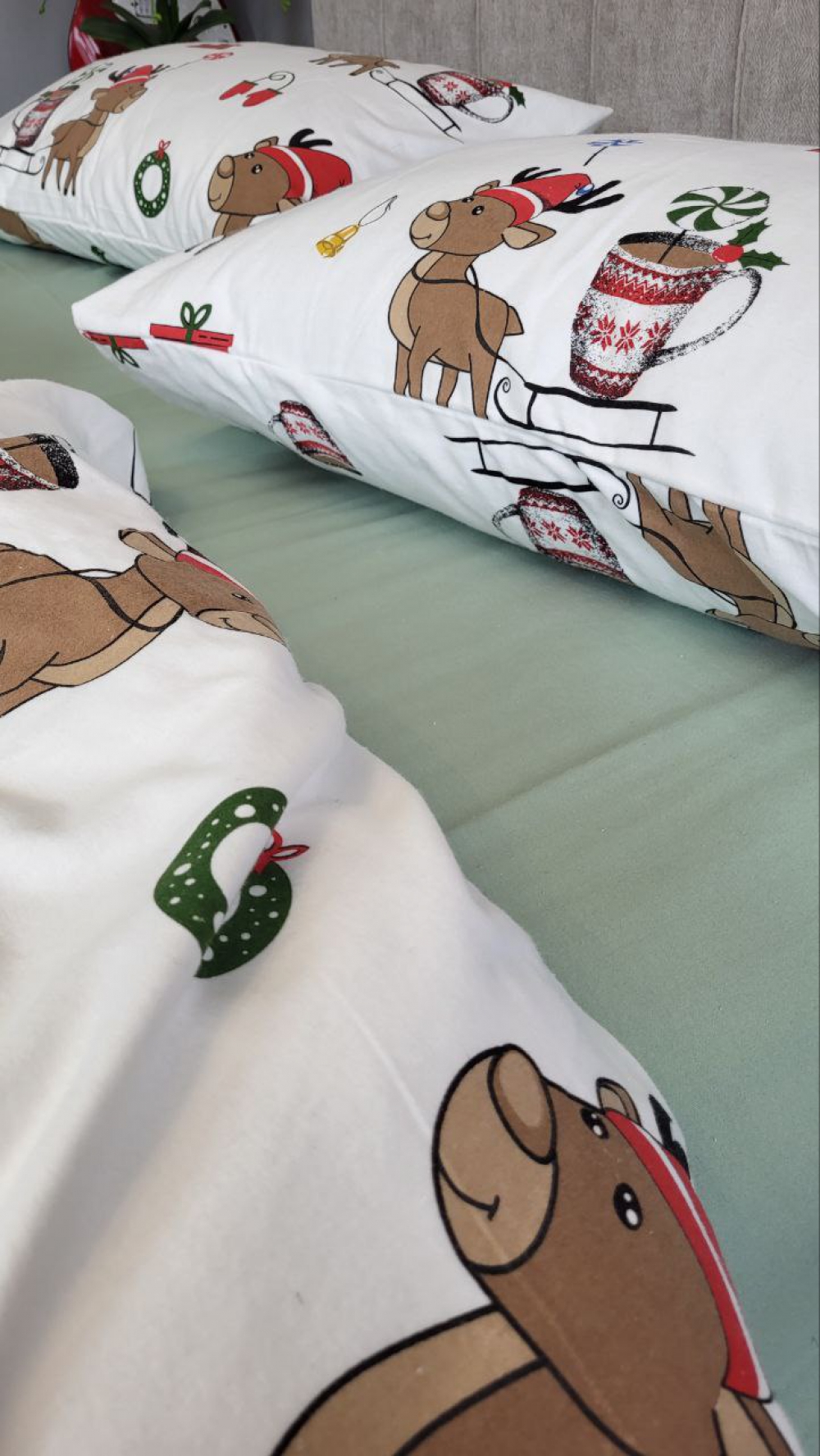 Постільна білизна Гостинці/полин, Turkish flannel (Двоспальний) - Зображення 6