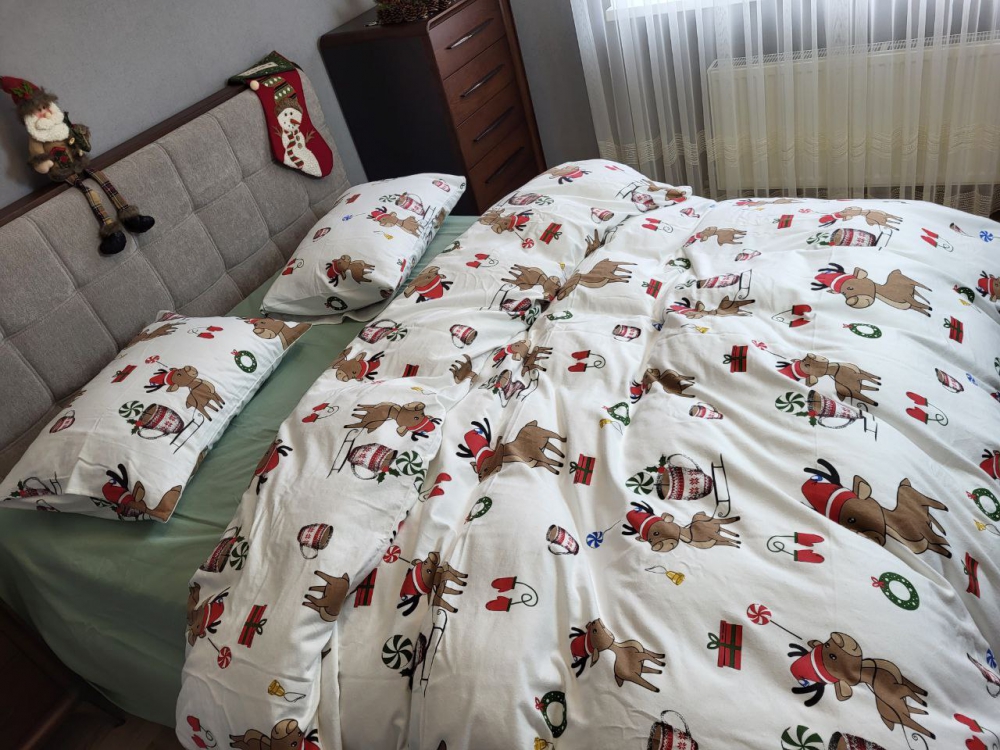 Постільна білизна Гостинці/полин, Turkish flannel (Двоспальний) - Зображення 4