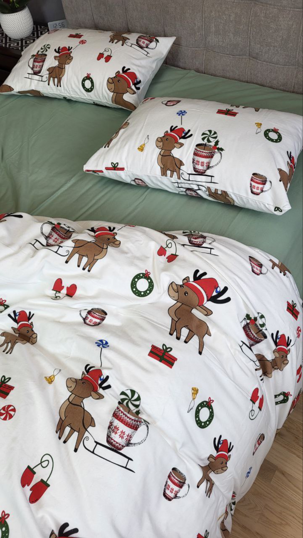 Постільна білизна Гостинці/полин, Turkish flannel (Євро на резин.) - Зображення 3