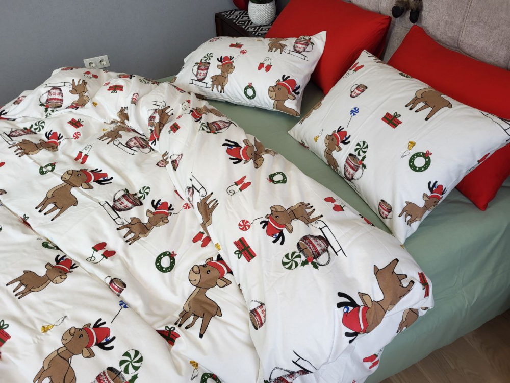 Постільна білизна Гостинці/полин, Turkish flannel (Євро)