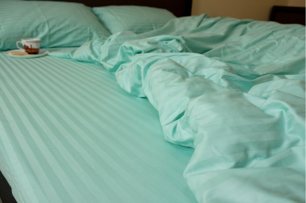 Постільна білизна Stripe LUX MINT 1/1см (Сім. на резин.)